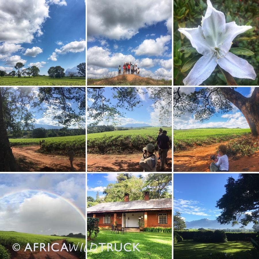 Africawildtruck Eco Camp & Lodge Mulanje Exteriér fotografie